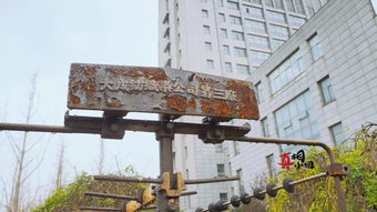 到底是什么样的优质偶像 让常州这所学校开启全员 追星 模式