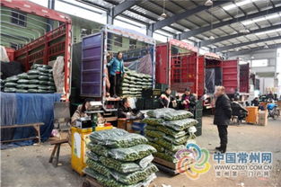 凌家塘8年 筑梦 打造常州农副产品 超级航母