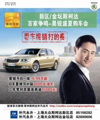 新区 金坛斯柯达 百家争鸣 昊锐盛夏购车会