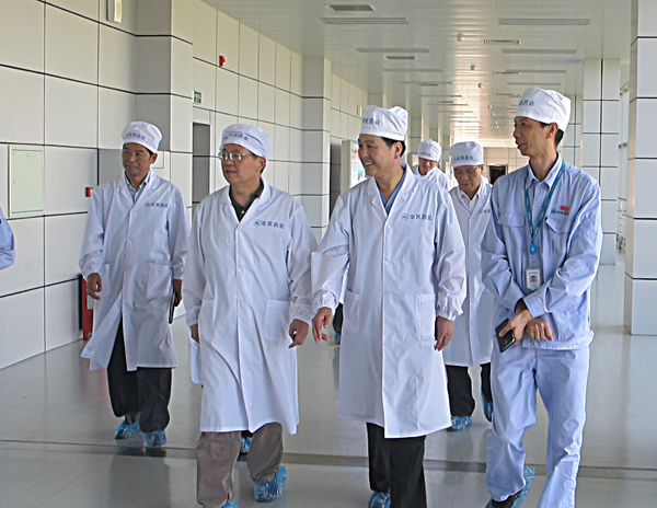 中国政研会领导来emc易倍体育调研