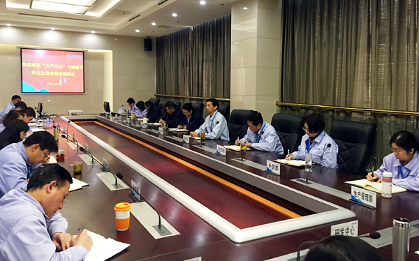 华民公司召开“三严三实”民主生活会情况通报会