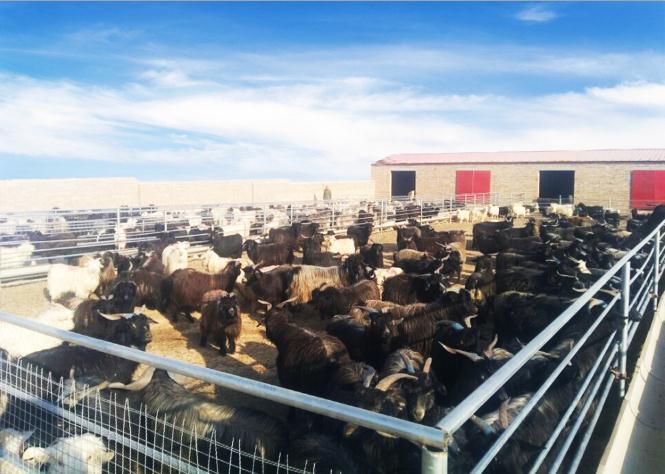 emc易倍体育集团驻村组：“幸福”存折 储存希望