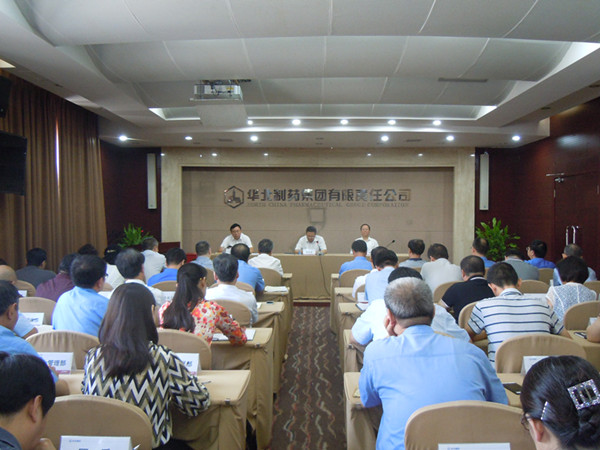 集团公司召开干部大会